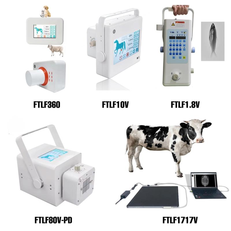 portable x ray